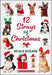 12 Strays of Christmas: A Wish Novel