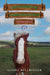 The Horses of Saddlers Ranch: Golden Haze