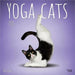 Yoga Cats – Katzen Yoga 2026 – 16-Monatskalender: Original BrownTrout-Kalender   (Wall-Kalender