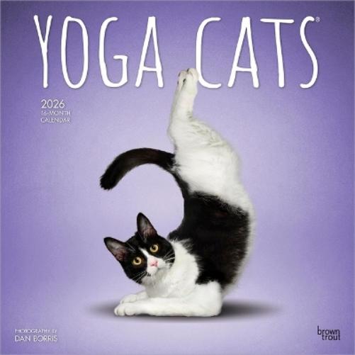 Yoga Cats – Katzen Yoga 2026 – 16-Monatskalender: Original BrownTrout-Kalender   (Wall-Kalender