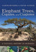 Elephant Trees, Copales, and Cuajiotes