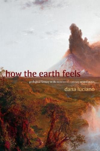 How the Earth Feels: Geological Fantasy in the Nineteenth-Century United States (ANIMA: Critical Race Studies Otherwise