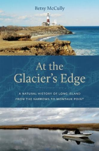 At the Glacier's Edge