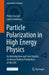 Particle Polarization in High Energy Physics