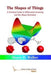 The Shape of Things: A Practical Guide to Differential Geometry and the Shape Derivative (Advances in Design and Control, Series Number 28