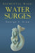 Elemental Wall: Water Surges