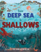 From Deep Sea to Shallows: The Story of Oceans