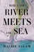 When the River Meets the Sea