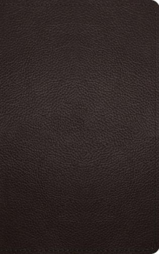 ESV Thinline Bible, Red Letter