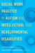Social Work Practice in Autism and Intellectual and Developmental Disabilities
