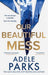 Our Beautiful Mess