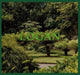 Logan Botanic Garden