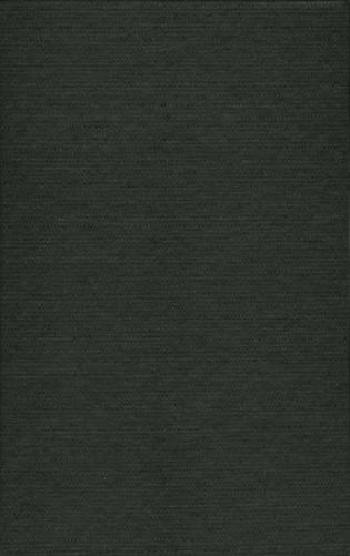 Companion to Endgame at Stalingrad