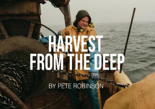 Harvest from the deep
