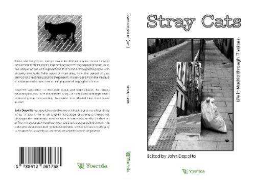 Stray Cats