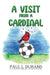 A Visit From A Cardinal
