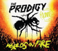 World's On Fire