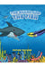 The Shark and The Fish