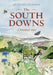 South Downs