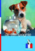 Les Animaux de Compagnie