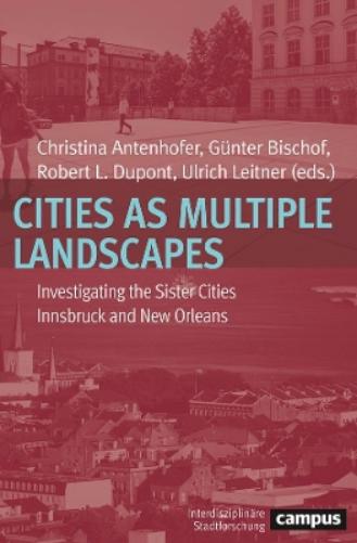 Cities as Multiple Landscapes