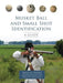 Musket Ball and Small Shot Identification