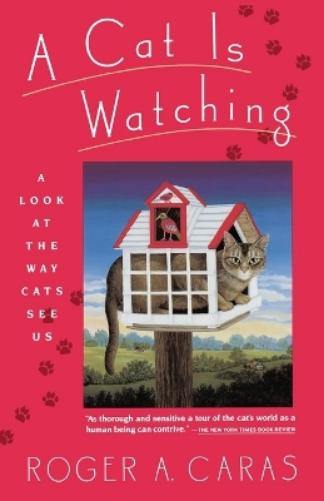A Cat is Watching