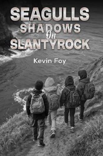 Seagulls Shadows on Slantyrock