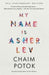 My Name Is Asher Lev