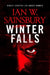 Winter Falls