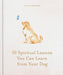 10 Spiritual Lessons You Can Learn from Your Dog