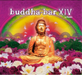 Buddha-bar XIV