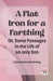A Flat Iron for a FarthingOr, Some Passages in the Life of an only Son (Edition2023)