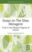 Essays on The Glass Menagerie