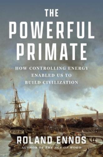 The Powerful Primate