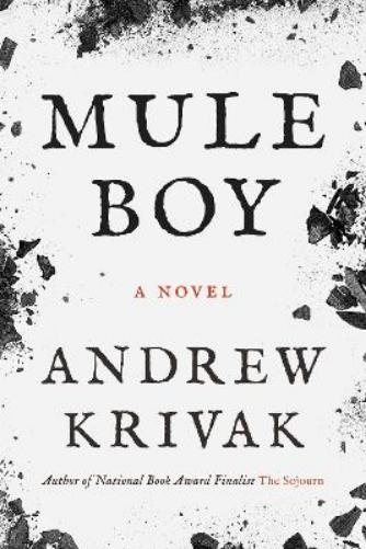 Mule Boy