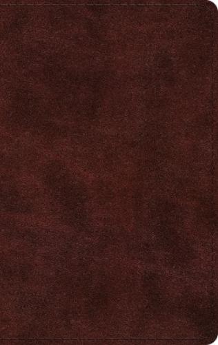 ESV Large Print Thinline Bible, Red Letter