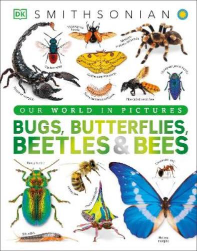 Bugs, Butterflies, Beetles and Bees