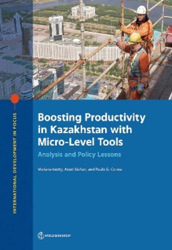 Boosting Productivity in Kazakhstan with Micro-Level Tools