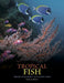 Tropical Fish