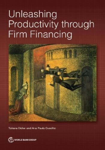 Unleashing Productivity Through Firm Financing