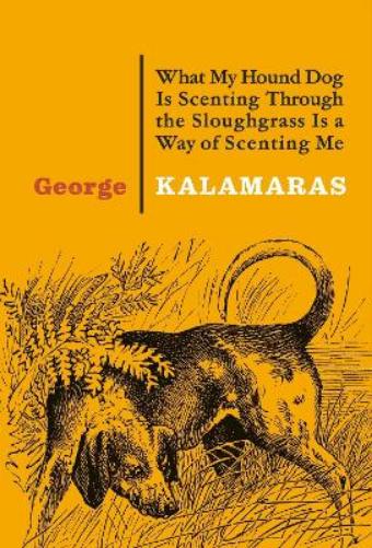 What My Hound Dog Is Scenting Through the Sloughgrass Is a Way of Scenting Me