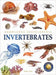Animals - Invertebrates : Knowledge Encyclopedia For Children