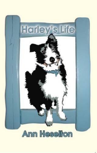 Harley's Life