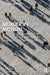 Murder in Motion