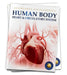 Human Body: Heart And Circulatory System (Knowledge Encyclopedia For Children