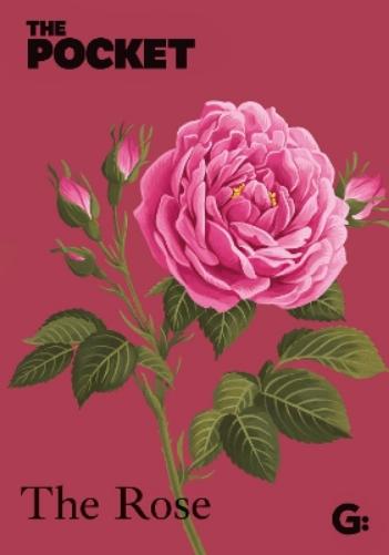 The Pocket The Rose