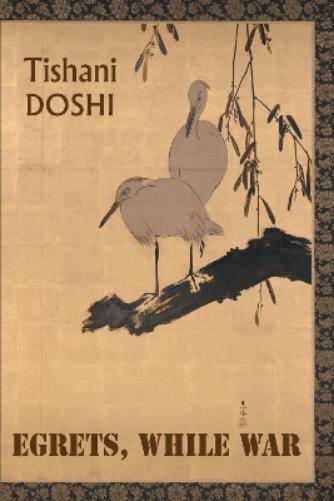 Egrets, While War