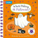 Who's Hiding At Halloween?