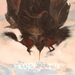 The Gorgon Tongue: Impale Golden Horn & Forbidden Planet